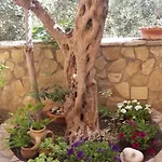 Modus לינה וארוחת בוקר סן ויטו לו קאפו