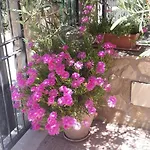 לינה וארוחת בוקר Modus 4*