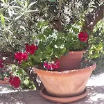 Modus Couette-café San Vito Lo Capo