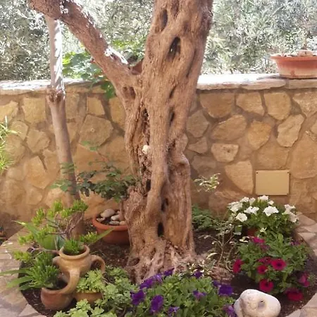 Modus Couette-café San Vito Lo Capo