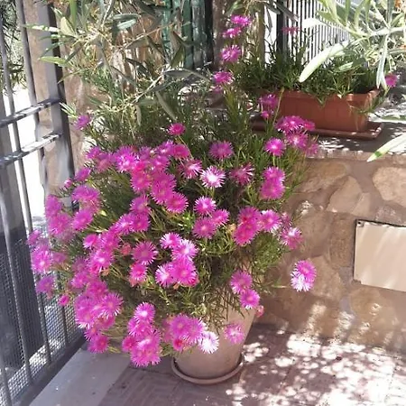 Couette-café Modus 4*