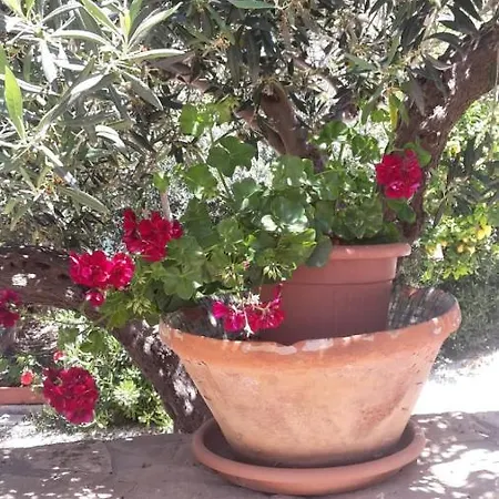 Modus Panzió San Vito lo Capo
